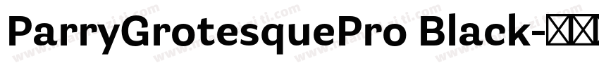 ParryGrotesquePro Black字体转换